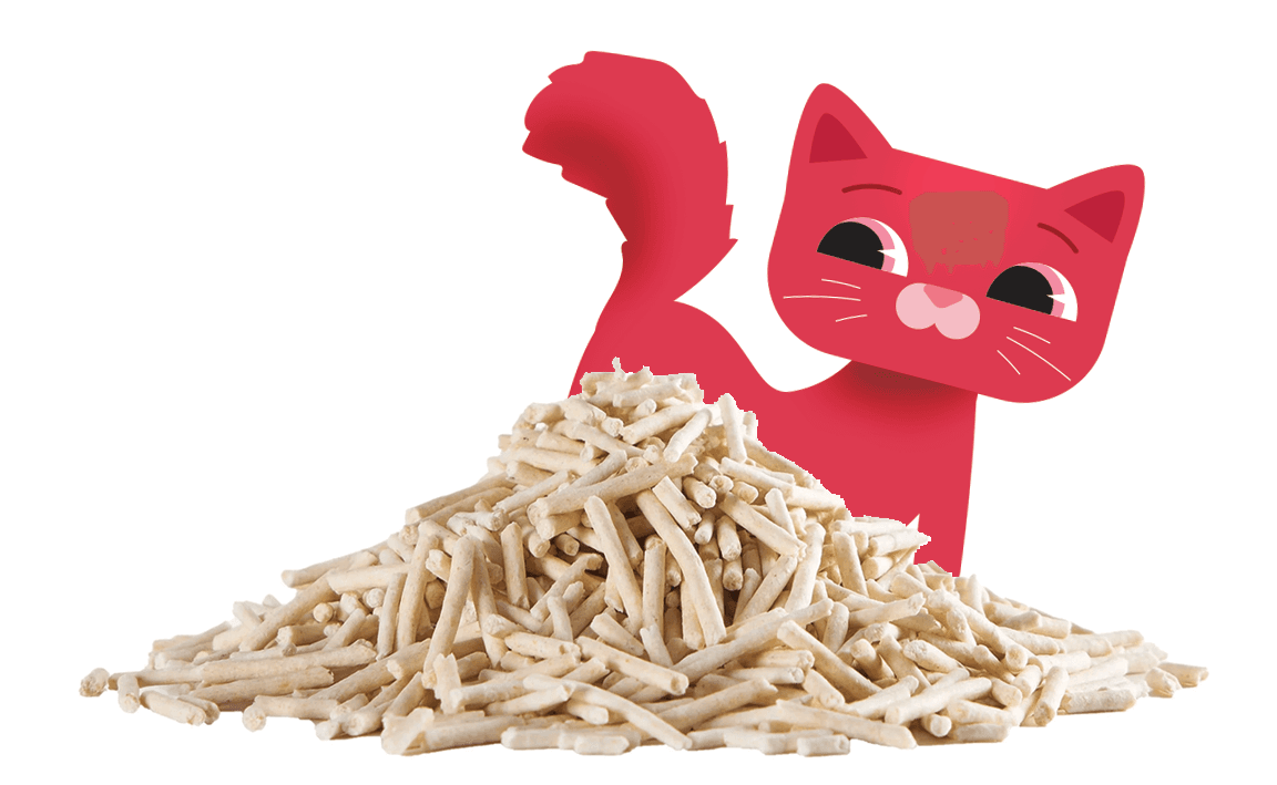 Red cat playing with litter